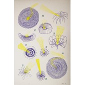 N'Roll - ASTEROIDE<br/>50,00 €