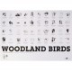 Theme - WOODLAND BIRDS